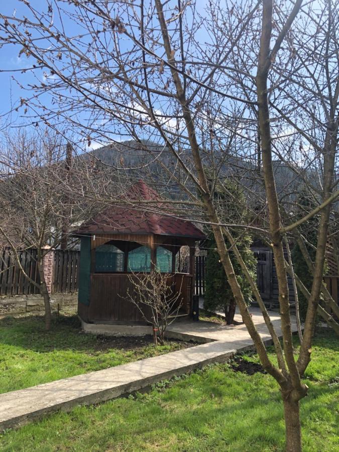 Садиба Диво Квітка Tatariw Exterior foto