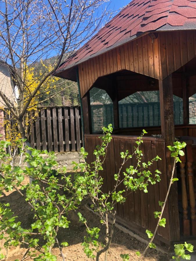 Садиба Диво Квітка Tatariw Exterior foto