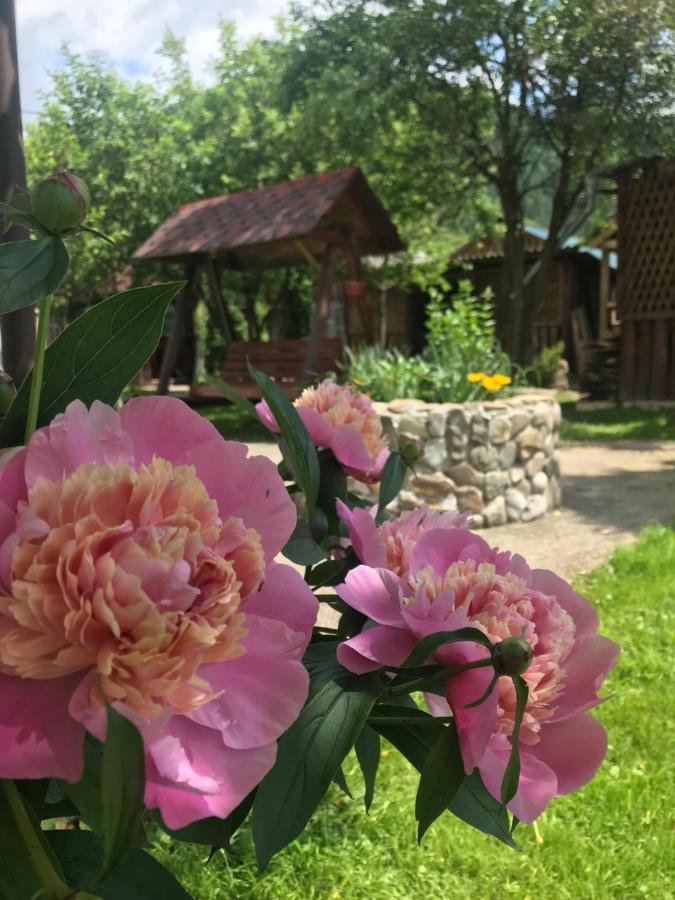 Садиба Диво Квітка Tatariw Exterior foto